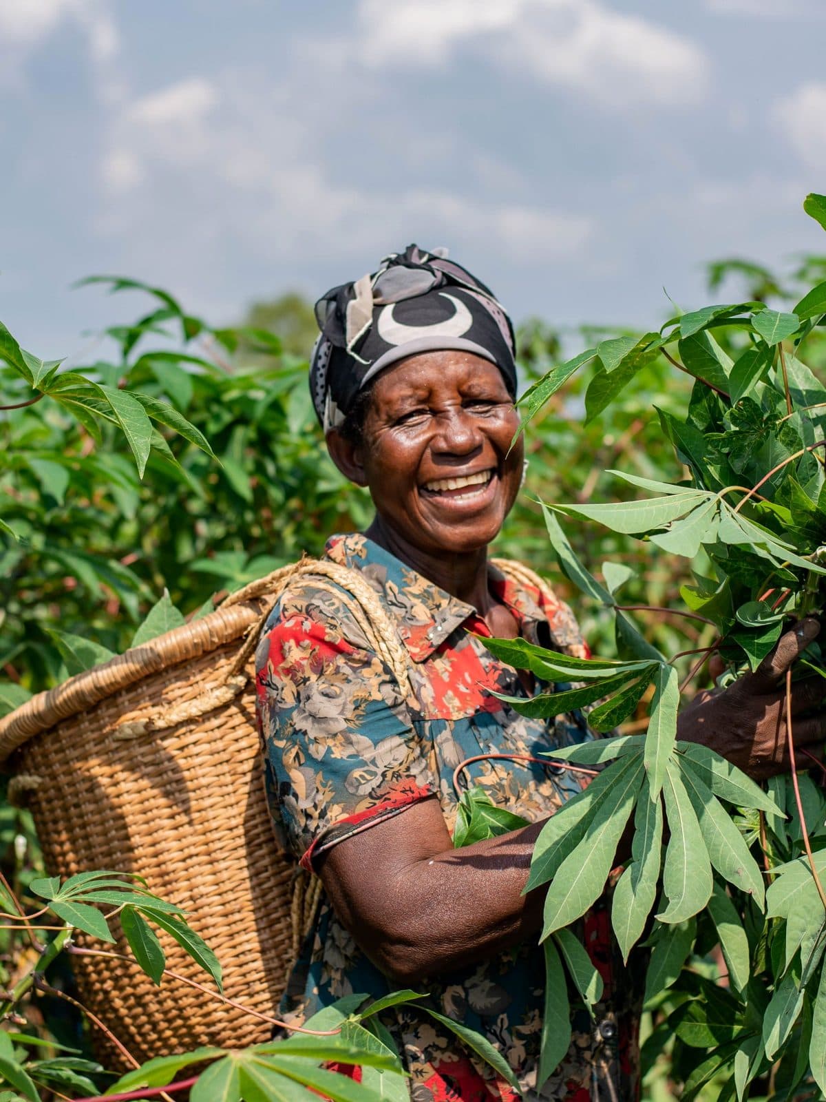 A farmer standing on harvested maize.